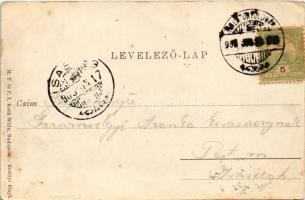 1903 Balatonföldvár, Balaton-part, villa. M.T. és F.I. Koch Willy. Erdélyi fényképész felvétele (fl)