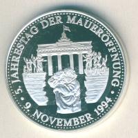 NSZK 1994. "A Fal ledöntésének 5. évfordulója" Ag emlékérem 15g T:PP