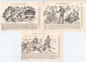 Magyar élet a magyar földön. A "Magyar Sors" bajtársi levelezés III. sz. (gazdaságtörténet...