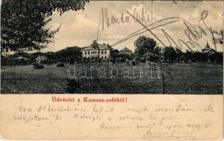 1901 Budapest XI. Kamaraerdő, Kamara-Erdő; Villa Mártha (EK)