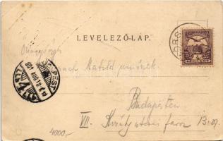 1901 Budapest XI. Kamaraerdő, Kamara-Erdő; Villa Mártha (EK)