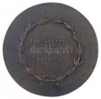 Madarassy Walter (1909-1994) ~1990. "Liszt Ferenc-díj II. fokozat" Br emlékérem (68mm) T:2
