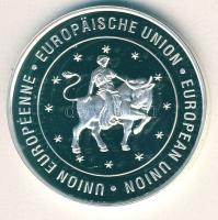 NSZK 1994. "EU" Ag emlékérem 15g T:PP