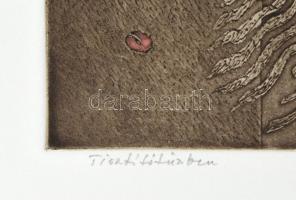 Deim Pál (1932-2016): Tisztítótűzben, 1994. Rézkarc, papír, jelzett, számozott: 10/45. 15,5×17 cm