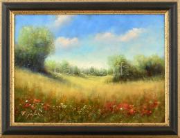 Gábris Ferenc (?-): Virágzó rét. Olaj, vászon, jelzett, dekoratív fa keretben. 30×40 cm