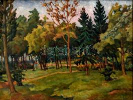 Csányi Lajos (1887-?): Park sétálókkal. Olaj, vászon, jelzett. Dekoratív, kissé kopott fa keretben, 60×80 cm