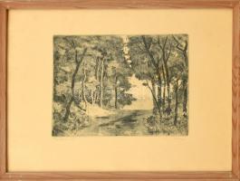Biai-Föglein István (1905-1974): Erdei út. Rézkarc, papír, jelzett, üvegezett fa keretben, 24,5×29,5 cm