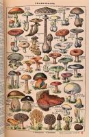 Nouveau Petit Larousse illustré. Dictionnaire Encyclopédique. Publié sous la direction de Claude Aug...