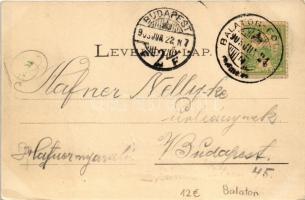 1903 Balatonföldvár, Bendegúz szálloda, Zrínyi szálloda. Klösz György kiadása. Art Nouveau, floral (...