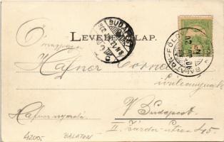 1902 Balatonföldvár, parti látkép, fürdőzők, csónakázók. Klösz György kiadása (EK)