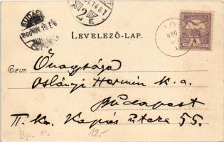 1900 Budapest XI. Kamaraerdő, Kamara-Erdő; vendéglő, Józsa lak, Villa Mártha, Ludwig Höhe, erdő rész...