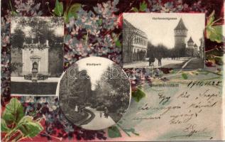 Nagyszeben with Kaiser Franz monument Litho