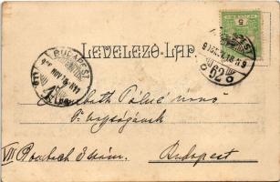 1906 Részlet Bem-Petőfi körképből (Erdélyi körkép). Weinwurm Antal kiadása / Transylvania Panorama s...