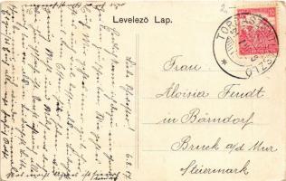 1917 Tordaszentlászló, Torda Szt. László, Savadisla; Gróf Mikes Kelemen kastélya / castle (EK)