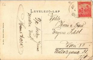 Nagylévárd, Velké Leváre; Habáni ház. Wiesner Alfréd Nr. 86a. / Habanerhaus / villa (EK)