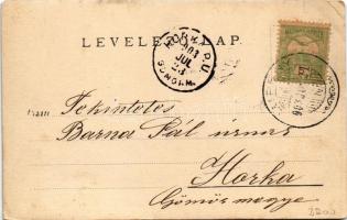 1903 Lupény, Lupeni; nyaralók / villas. photo (szakadás / tear)