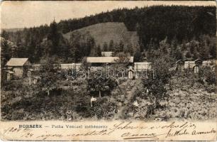 1904 Borszék, Borsec; Patka Vencel méhészete / apiary, beehives (EK)