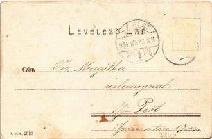 1904 Borszék, Borsec; Patka Vencel méhészete / apiary, beehives (EK)