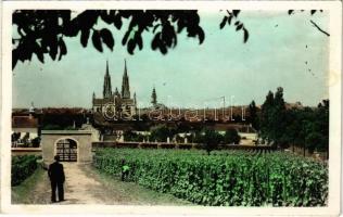 1958 Versec, Vrsac; szőlőskert, temető / vineyards, cemetery