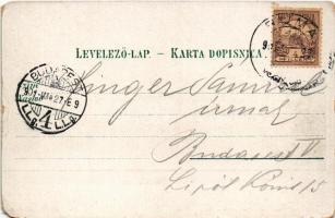 1901 Árpatarló, Ruma; Fő utca / Hauptstrasse / main street (EK)