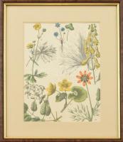 Növények, virágok. Színes metszet, papír. XIX. sz. Üvegezett fa keretben, 25×17,5 cm
