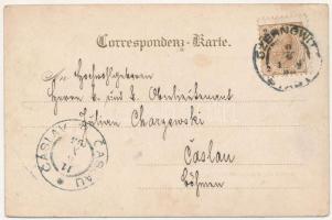 1898 (Vorläufer) Gruss aus der Bukowina, Bethaus des Wunderrabbi in Sadagóra (Sadhora). Judaica / Gr...