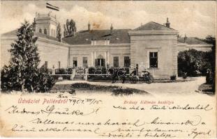 1901 Pellérd, Brázay Kálmán kastély, lovashintó
