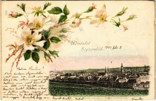 1901 Sopron. Virágos, floral, litho