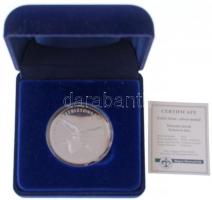 DN "Polgári Nemzetbiztonsági Szolgálatok - 20 év / Nemzetbiztonságért" jelzett Ag emlékére...