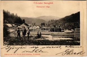 1902 Szarvasháza, Zsdenyova, Zhdenijevo (Bereg); völgy. Bertsik Emil kiadása / valley