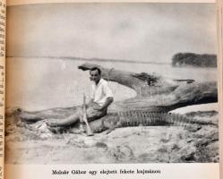 Molnár Gábor: Jaguárországban. "Világjárók 18." Bp., 1961, Gondolat. Fekete-fehér képekkel...