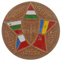 1979. Varsói Szerződés részben festett Br emlékérem (87mm) T:2