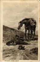 1915 Hű barát, hiába vársz! / WWI Austro-Hungarian K.u.K. military art postcard, horse of the dead soldier. G.G.W.II. Nr. 2. (EK)