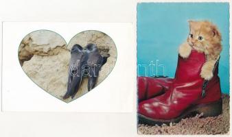 20 db MODERN állatos motívum képeslap / 20 modern animal motive postcards