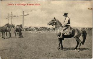 1909 Hortobágy, csikós a hármas kútnál. Divald Károly 1309-1907. (EK)