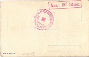 Az új trónörökös Károly Ferenc József főherceg és családja / Charles I of Austria, Zita and Otto + &...