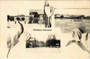 Palics, Palic; fürdő, tulipánok. Wágner a Hangszer-király reklám a hátolalon / spa, tulips. Art Nouveau, advertisement on the backside