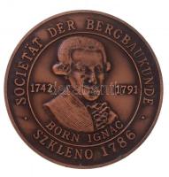 1986. "Országos Magyar Bányászati és Kohászati Egyesület - Közgyűlés Miskolc 1986 / Societät der Bergbaukunde Szkleno 1786 - Born Ignác 1742-1791" Br emlékérem (60mm) T:1- ph.