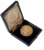 1932. "M.T.E. 'Fecskék' Hölgy sí díja" Br díjérem eredeti tokban (50mm) T:2