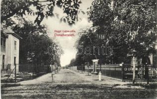 Dunaharaszti Hegyi Lajos utca