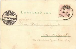 1899 Kisszeben, Zeben, Sabinov; látkép. Kiadja Stehr Gusztáv / general view (vágott / cut)