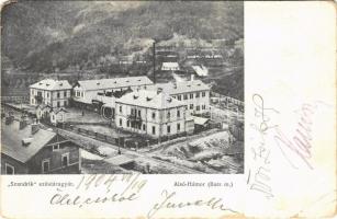 1904 Alsóhámor, Dolné Hámre (Hodrushámor, Hodrusa-Hámre); Szandrik ezüstárugyár, ezüstgyár / silverware factory (EM)