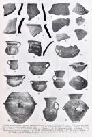 Dinnyés István-Kővári Klára-Lovag Zsuzsa-Tettamanti Sarolta-Topál Judit-Torma István: Pest megye rég...