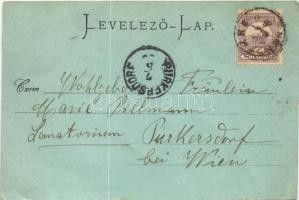 1900 Enyicke, Abaúj-Enyiczke, Haniska (pri Kosiciach); Római katolikus templom és parókia. Nyulászi ...