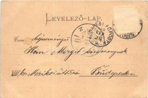 1900 Nagytapolcsány, Topolcany, Topolcian; Fő tér, Hitelbank, Munk Adolf üzlete, piac. Platzko Gyula...