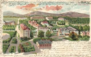 1898 Szliács with jewish restaurant Litho