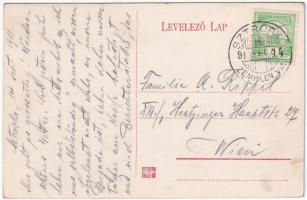 1911 Sztropkó, Stropkov; Piac tér, Friedmann Emil, Naftaly, Stark, Neumann Berta, Reismann A. Manó, ...