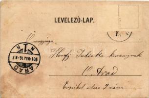 1901 Pancsova, Pancevo; Temes szabályozása kotrógéppel, Kir. Selyem szövés és fonás, fonoda / Timis ...