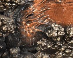 Drótszőrű német vizsla, galvanizált fém, Jelzett: F. D. 27x21cm