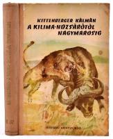 Kittenberger Kálmán: A Kilimandzsárótól Nagymarosig. Bp., 1956, Ifjúsági Könyvkiadó. Első kiadás. Félvászon kötés, kopottas állapotban, volt könyvtári példány.